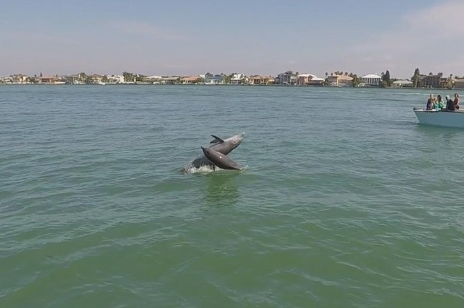 Small Group 2 Hour Dolphin Cruise with Snorkeling to Shell Key - Choosing the right departure and timing