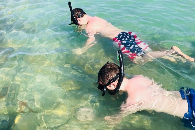 Small Group 2 Hour Dolphin Cruise with Snorkeling to Shell Key - Shell Key brings beach time and a change of pace