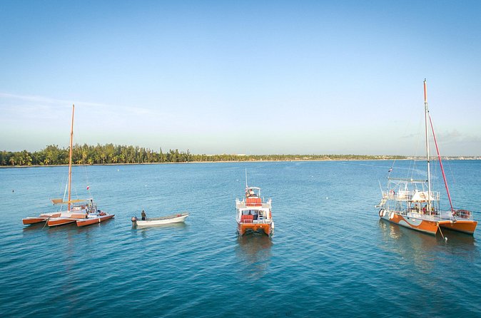 Small-Group Cruising and Snorkeling Catamaran Tour - Crew service makes the difference