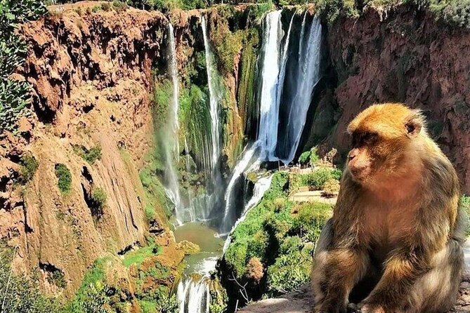 Small group Ouzoud Waterfall Guided Tour Boat Ride from Marrakech - Who will enjoy this day trip most?
