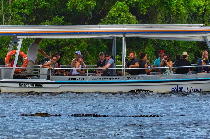 Solar Whisper Daintree River Crocodile and Wildlife Cruise - Key points to know before you go