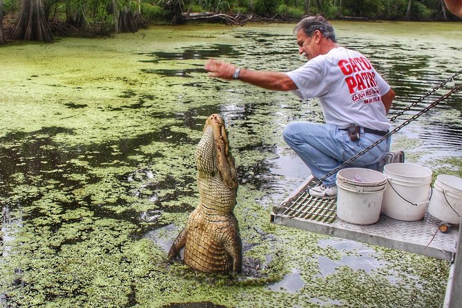 Swamp Boat Ride and Oak Alley Plantation Tour from New Orleans - Wildlife is a bonus, not a promise