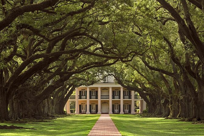 Swamp Boat Ride and Oak Alley Plantation Tour from New Orleans - How the $131 price works out