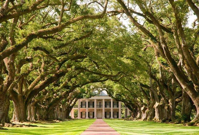 Swamp Boat Ride and Oak Alley Plantation Tour from New Orleans - Timing, clothing, and practical details