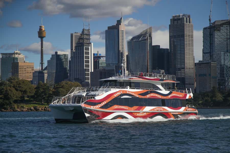 Sydney: 2-hour Express Whale Watching Cruise - What to wear and bring