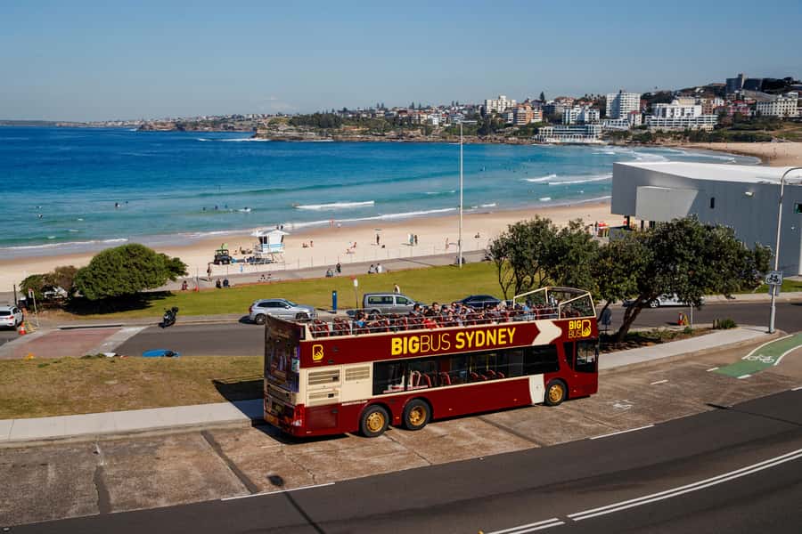 Sydney: Big Bus Hop-On Hop-Off Tour with Optional Cruise - The Blue Bondi Tour and Sydney’s beach culture