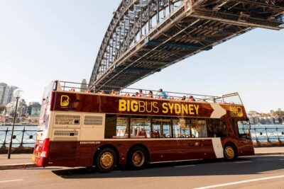 Big Bus Hop-On Hop-Off Tour with Optional Cruise