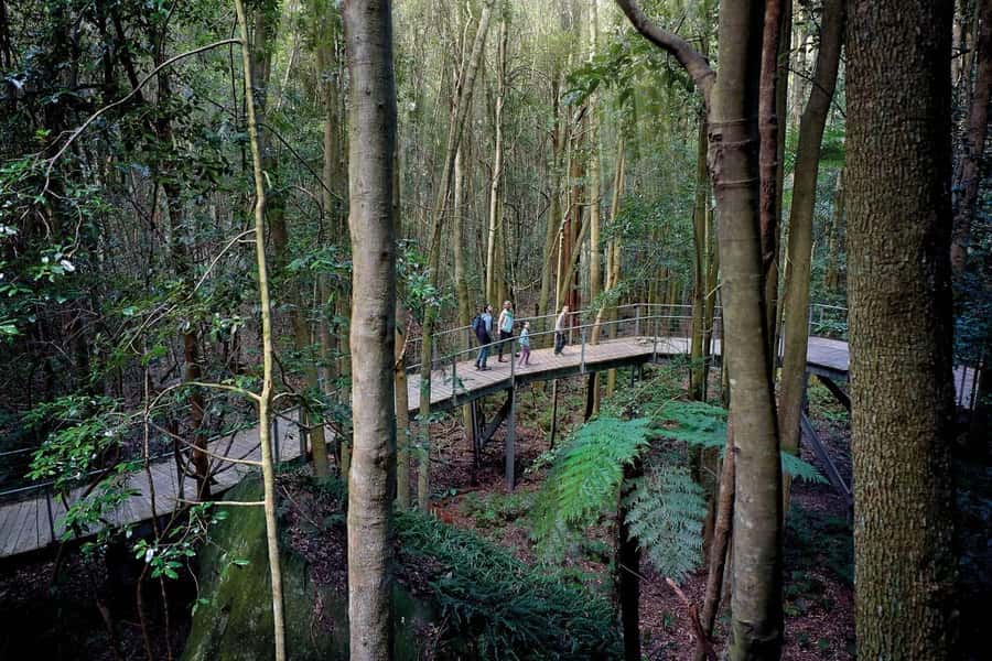Sydney: Blue Mountains National Park Tour with River Cruise - Three Sisters and Aboriginal stories