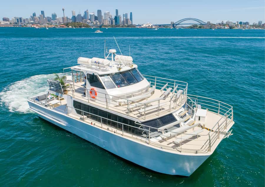 Sydney: Whale Watching Adventure Cruise - Key points at a glance