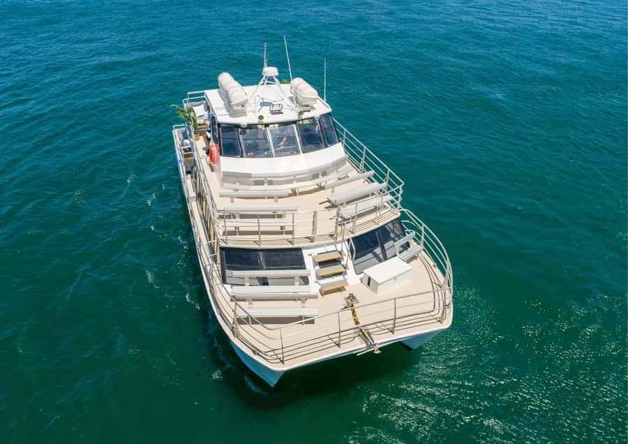 Sydney: Whale Watching Adventure Cruise - The ride out, and what the 165 minutes really means
