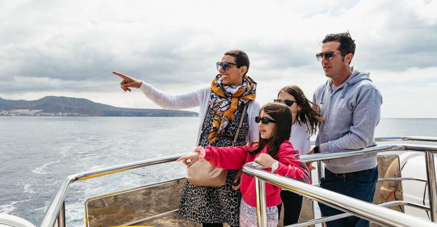 Tenerife: Eco-Yacht Whale and Dolphin Watching and Swimming - What the $13 price really buys you