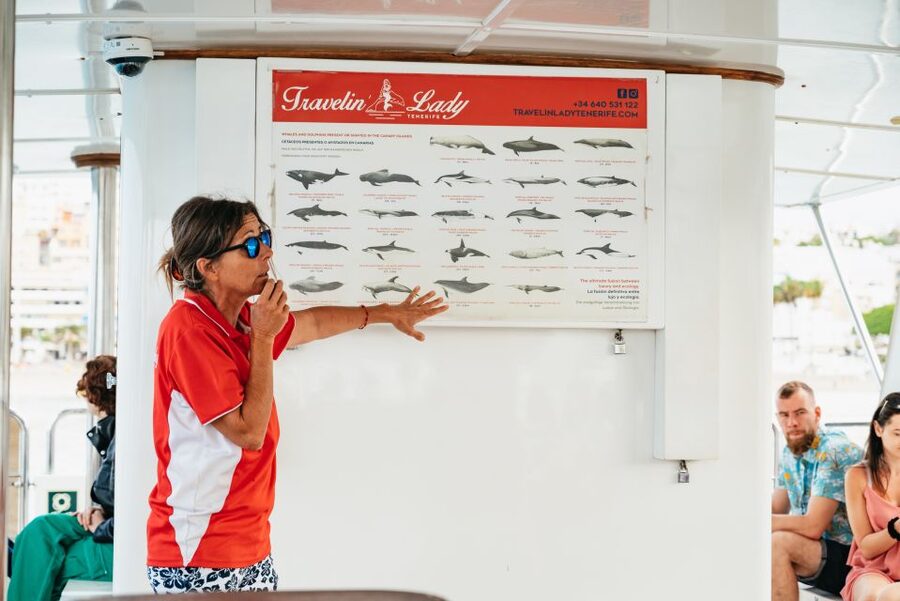 Tenerife: Eco-Yacht Whale and Dolphin Watching and Swimming - Why this short trip works well off Los Cristianos