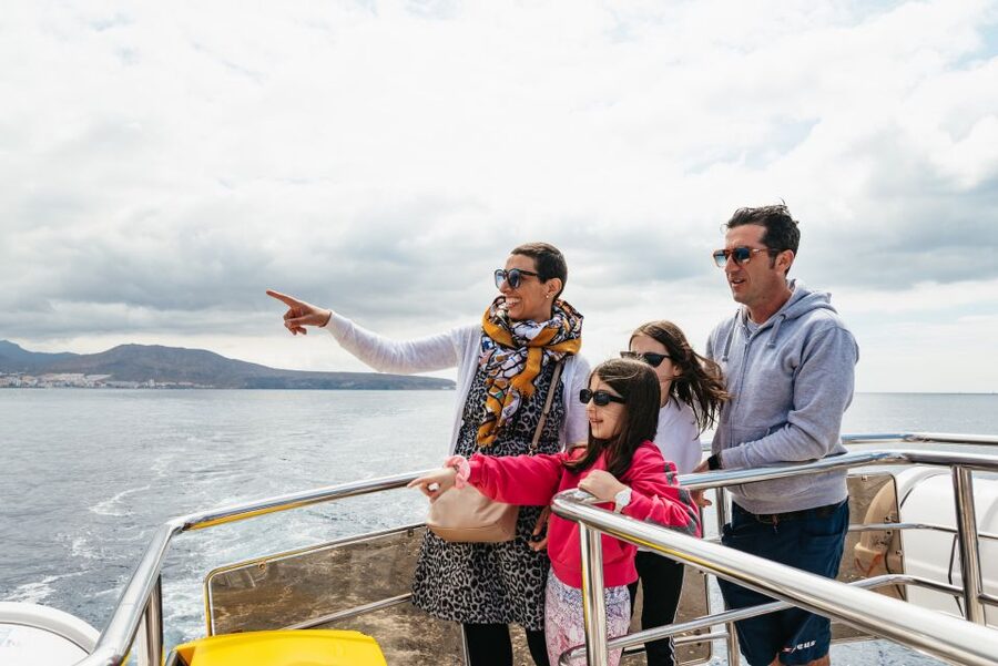 Tenerife: Eco-Yacht Whale and Dolphin Watching and Swimming - Comfort, shade, and seasickness