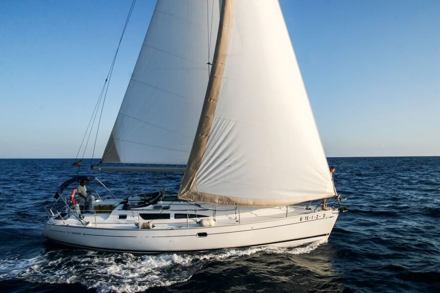 Tenerife: Sailboat Tour Whale Watching Food and Snorkeling - Key points to know before you book