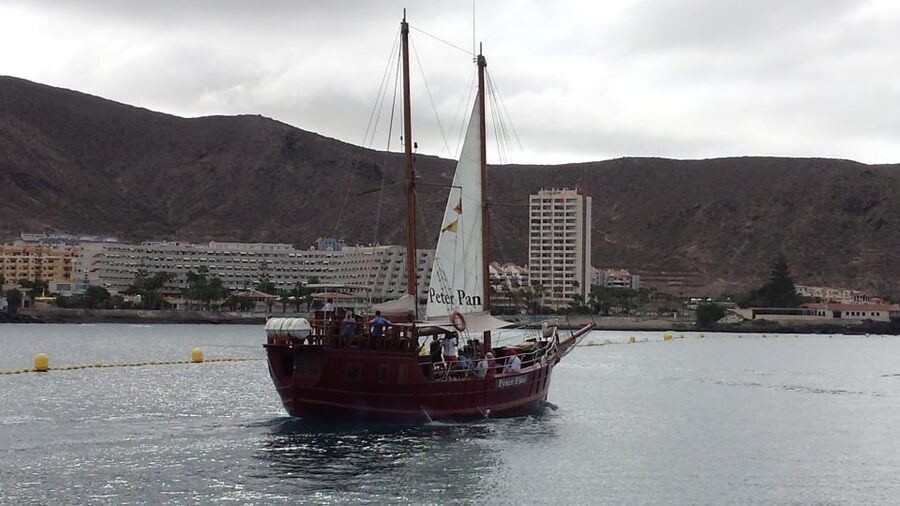 Tenerife: Whale & Dolphin Watching Cruise with Swim Stop - Key points to know before you book