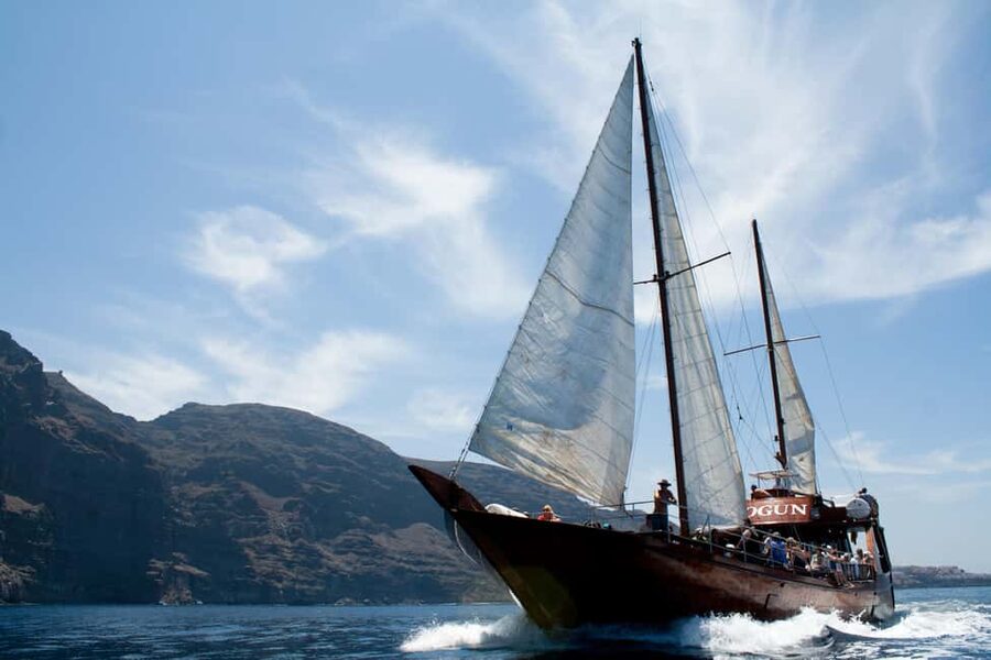 Tenerife: Whale & Dolphin Watching Cruise with Swim Stop - Sea conditions, comfort, and who should skip it