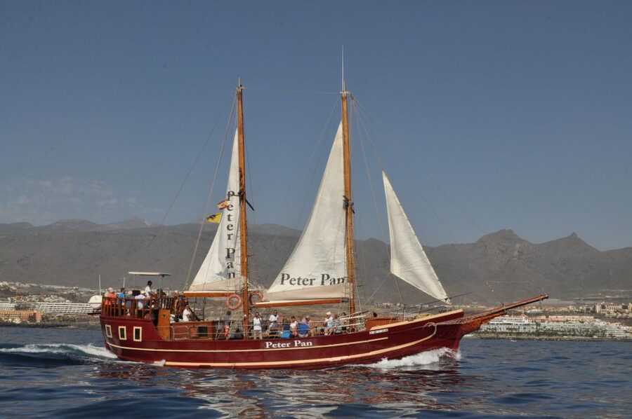 Tenerife: Whale & Dolphin Watching Cruise with Swim Stop - Is Peter Pan right for your Tenerife plans?