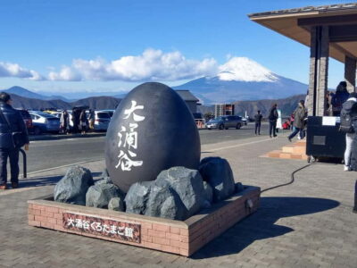 Hakone Fuji Day Tour w/ Cruise, Cable Car, Volcano
