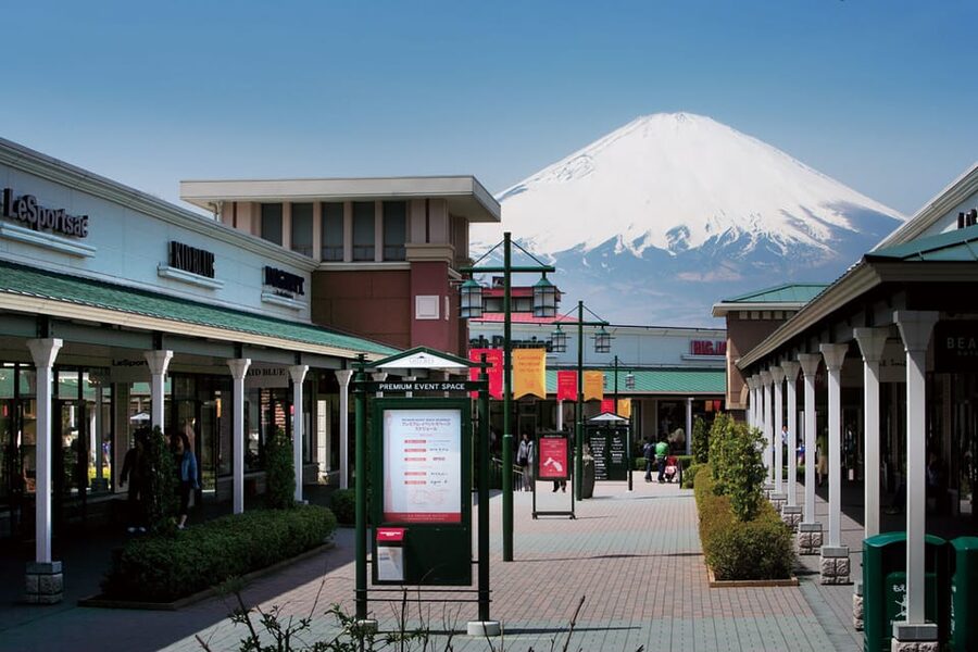 Tokyo: Hakone Fuji Day Tour w/ Cruise, Cable Car, Volcano - Who will enjoy this tour most