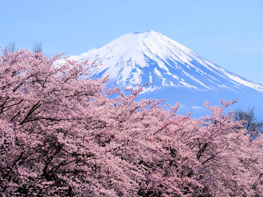 Tokyo: Mt. Fuji 5th Station & Hakone Cruise 1-Day Bus Tour - One Day, Two Famous Japanese Sights