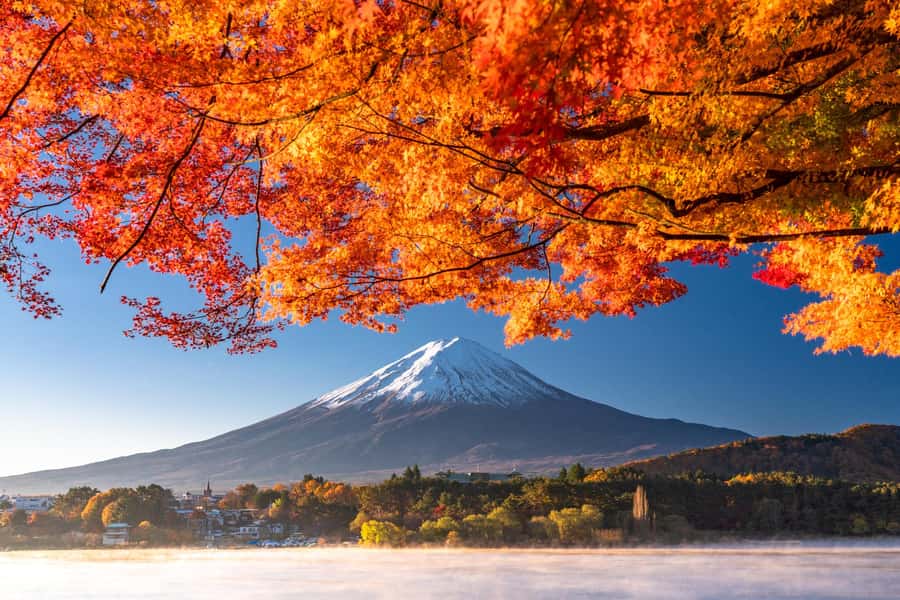 Tokyo: Mt. Fuji and Kawaguchiko Full-Day English Guided Tour - Mt. Fuji 5th Station at 2,305 meters