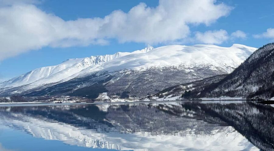 Tromsø: Arctic Fjord Cruise & Fishing Experience - Rya Island: a useful wildlife stop