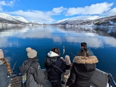 Arctic Fjord Cruise & Fishing Experience