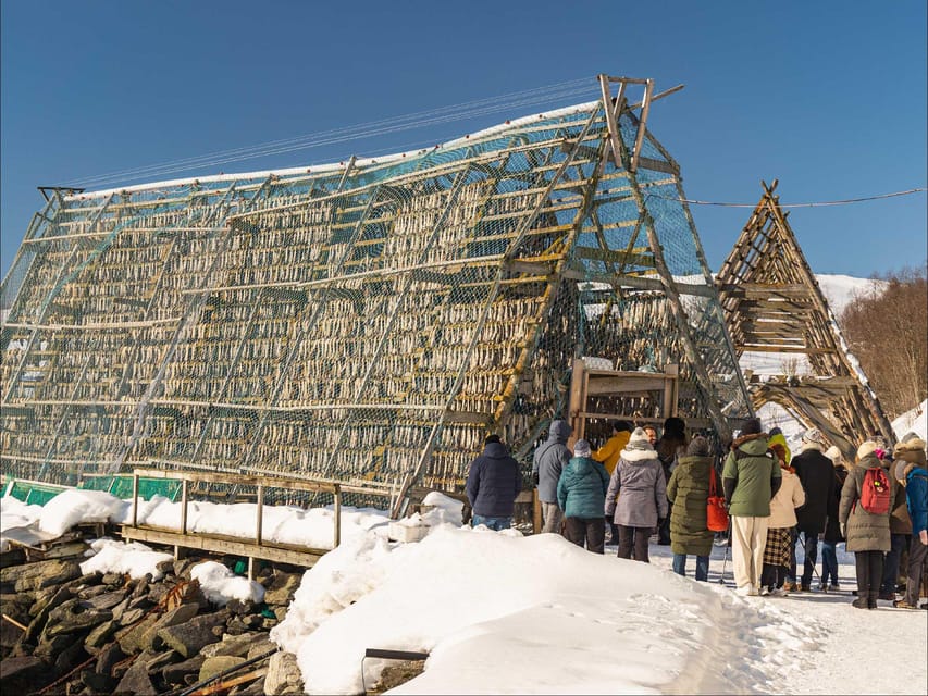 Tromsø: Arctic Fjord Cruise With Stop On Land At Fish Racks - Key points to know before you sail