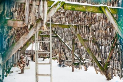 Arctic Fjord Cruise With Stop On Land At Fish Racks