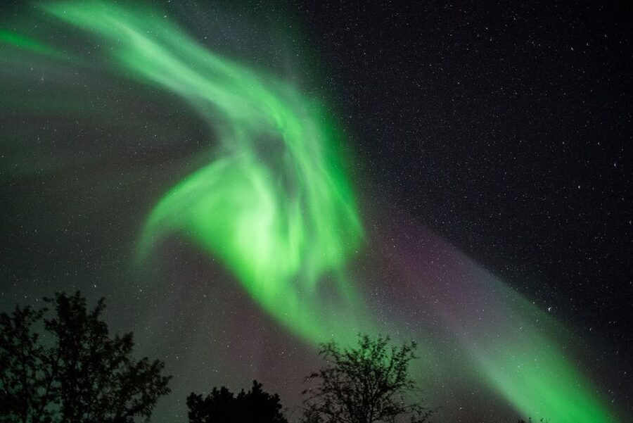 Tromsø: Evening Aurora Cruise (dinner optional) - Key points at a glance