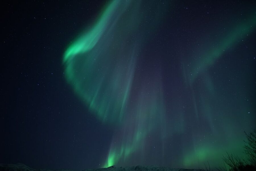 Tromsø: Evening Aurora Cruise (dinner optional) - Dinner, snacks, and what the $100 covers