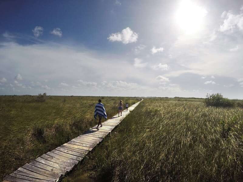 Tulum: Mayan Ruins & Sian Kaan Tour with Boat Ride and Lunch - Should you book the Tulum and Sian Kaan combination?