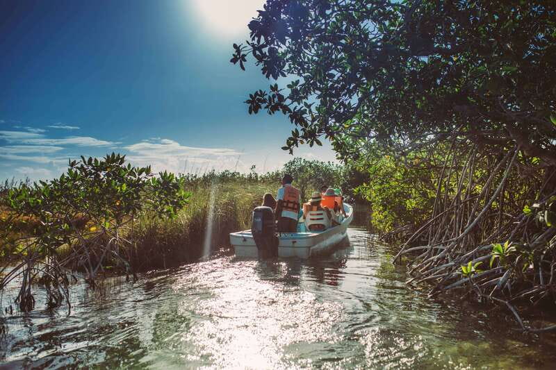 Tulum: Mayan Ruins & Sian Kaan Tour with Boat Ride and Lunch - What the transport and timing feel like