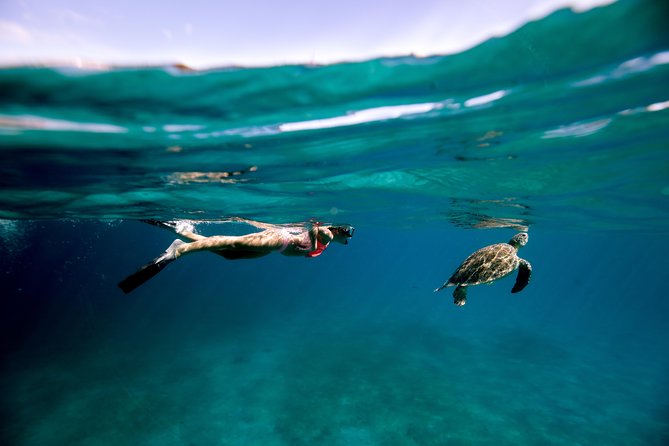 Turtle Cove Catamaran Snorkel and Sail at Little Buck Island STT - Quick reasons to consider this sail