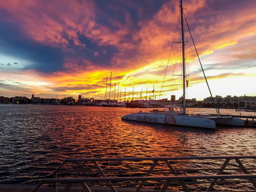 Valencia: Sailing Catamaran Cruise with Sunset Option and DJ - Who should book the Valencia catamaran cruise?