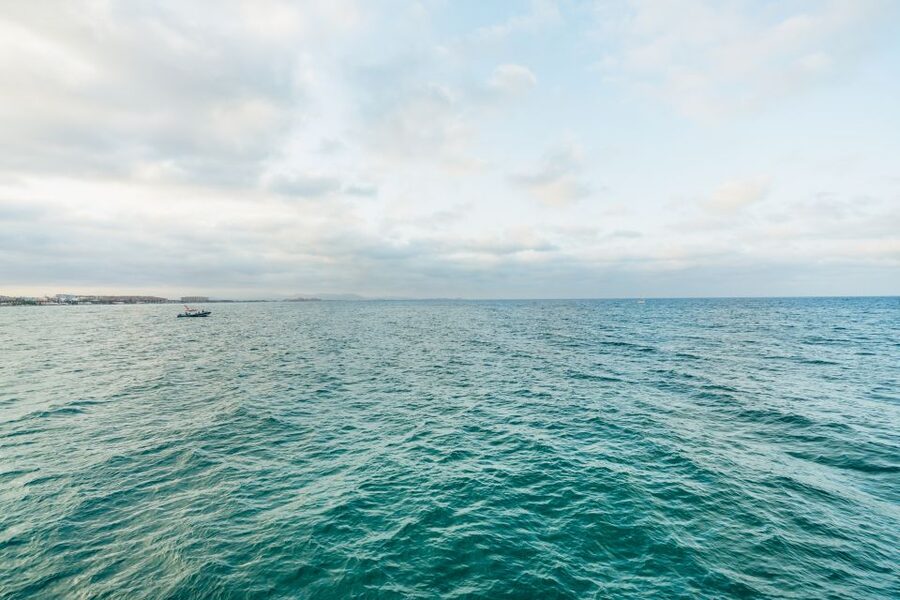 Valencia: Sunset or Daytime Catamaran Cruise with Drink - Booking and Timing Tips