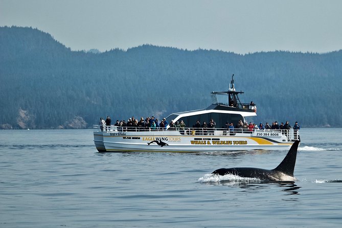 Victoria Whale and Wildlife Cruise - Setting out from Dallas Road in Victoria