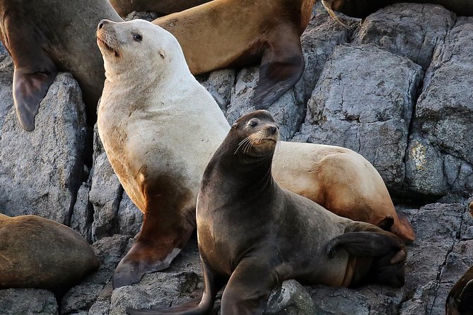 Victoria Whale and Wildlife Cruise - Who will enjoy this cruise most