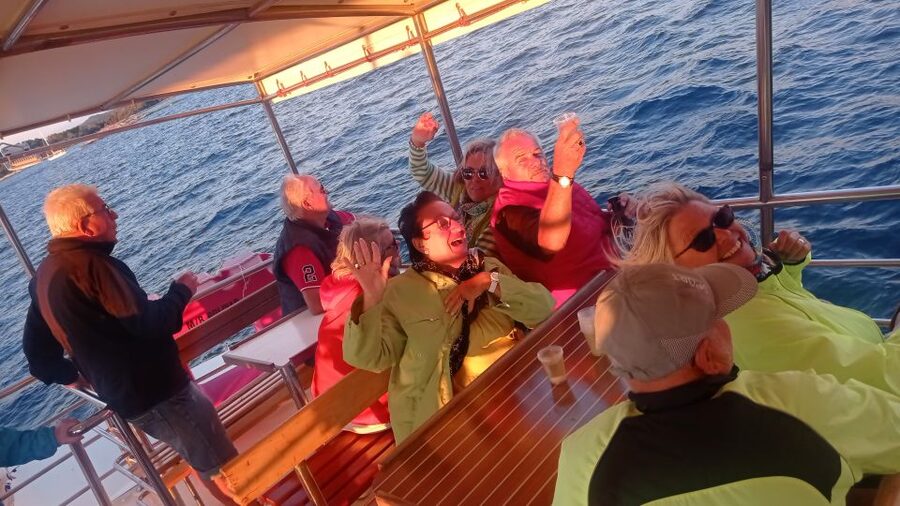 Vrsar: Dolphin Watching Boat Tour including Drinks - Booking details that matter