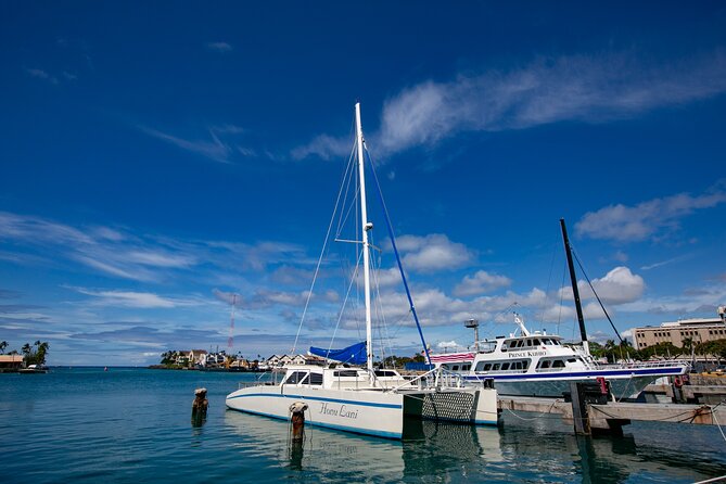Waikiki Catamaran Snorkel Sail with Lunch: Turtles Guaranteed - Who Will Like This Catamaran Snorkel