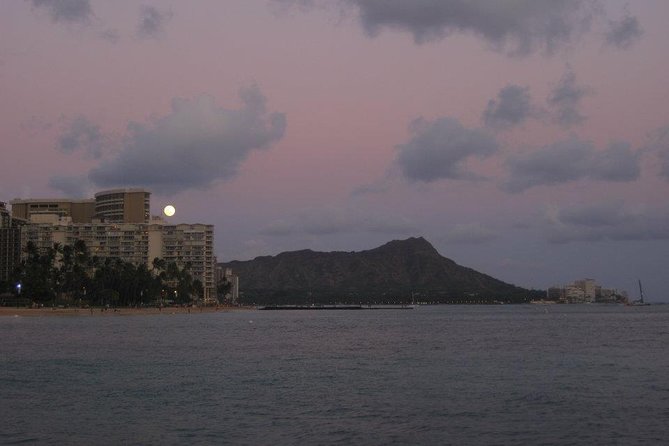 Waikiki Signature Sunset Catamaran Sail - Wildlife is possible, never promised