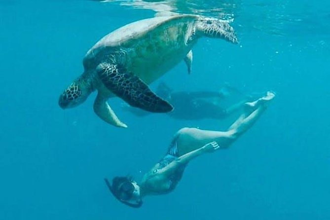 Waikiki Turtle Snorkel and Sail on Hawea Catamaran - Boarding the Hawea catamaran