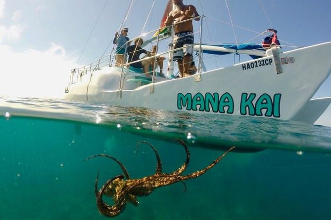 Waikiki Turtle Snorkel and Sail on Hawea Catamaran - A simple Waikiki meeting point