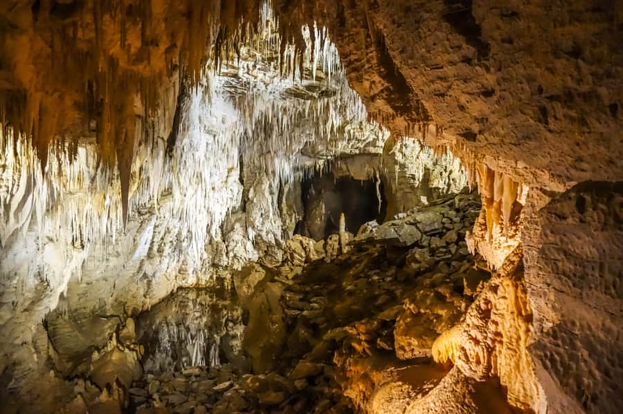 Waitomo: Glowworm Caves Guided Tour by Boat - Who will enjoy this tour most?