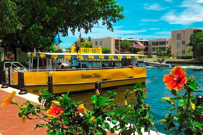 Water Taxi All Day hop-on hop-off Venice of America Boat Tour - Why the Water Taxi is one of Fort Lauderdale’s best sightseeing rides