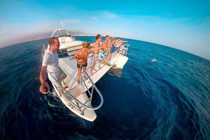 Whale and Dolphin Watching Catamaran with Transfer and Buffet - Why pilot whales make this Tenerife trip special
