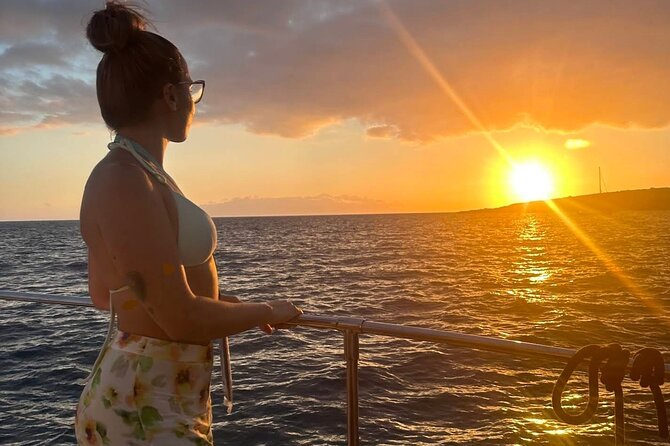 Whale and Dolphin Watching Catamaran with Transfer and Buffet - How much value do you get for $71.35?