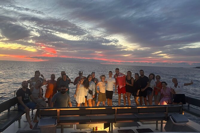 Whale and Dolphin Watching Catamaran with Transfer and Buffet - Who should book this catamaran?