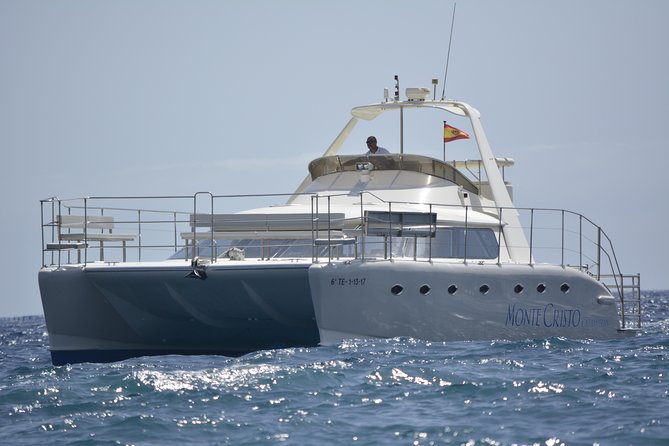 Whale and Dolphin Watching Catamaran with Transfer and Buffet - The first hours: searching for whales and dolphins