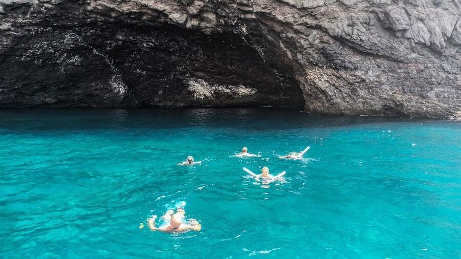 Whale and Dolphin Watching Sailing Tour – Los Gigantes (3H) - Should you book the Los Gigantes whale and dolphin tour?